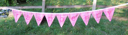 bunting_blog.jpg