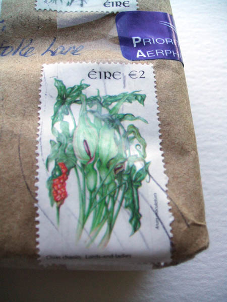 irish_stamp.jpg