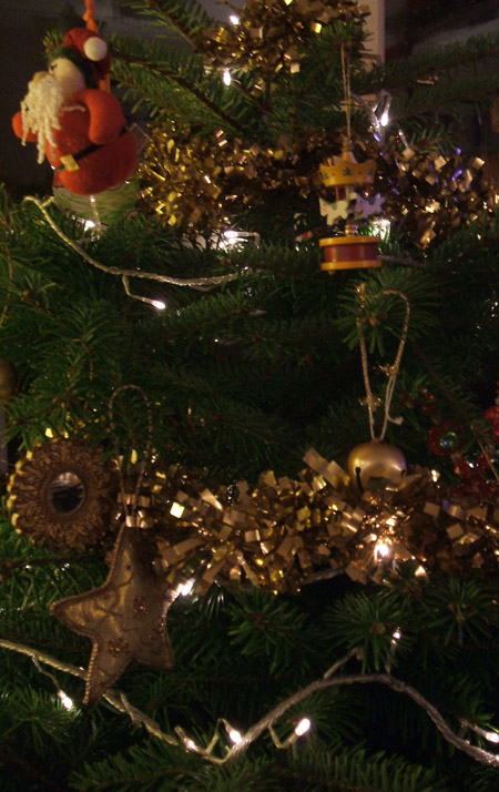 tree_blog.jpg