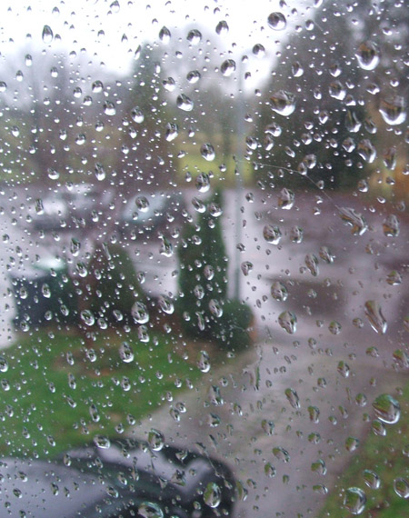 rain.jpg