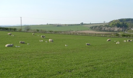 springtime