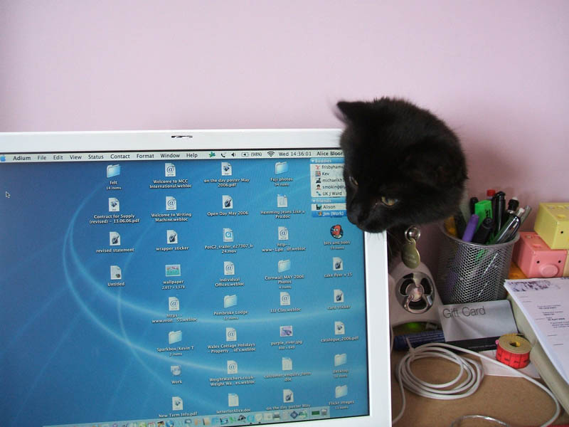 cat behind the laptop……