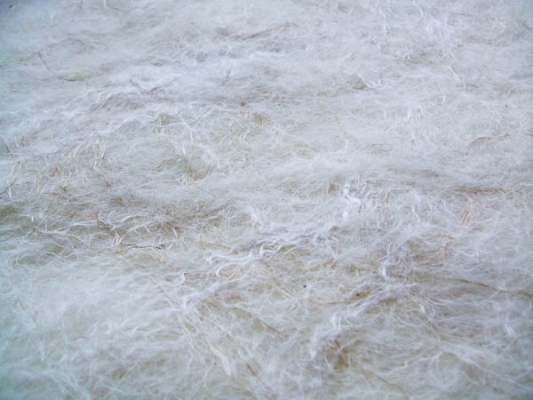 close-up_Welsh.jpg