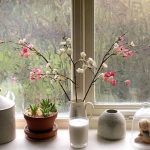 window edit